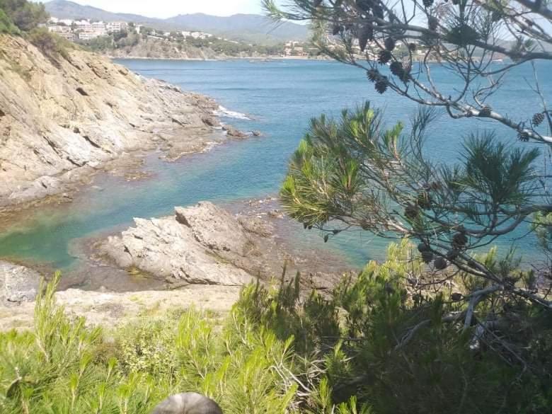 Sant Jordi Santiago Daire Tossa de Mar Dış mekan fotoğraf
