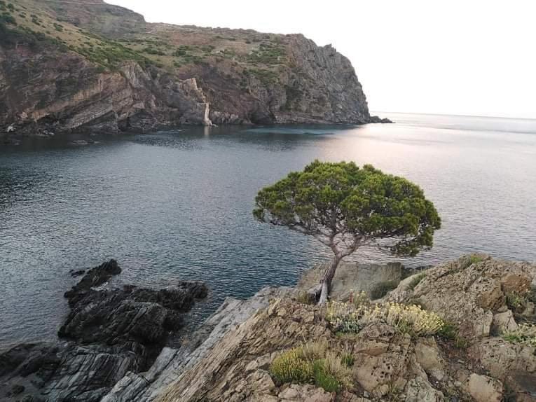 Sant Jordi Santiago Daire Tossa de Mar Dış mekan fotoğraf